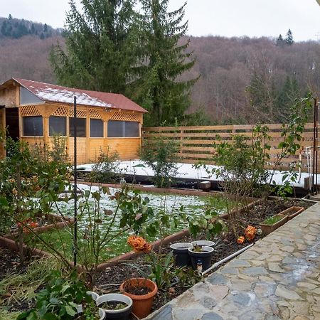 Casa Nicolas Buşteni Екстериор снимка