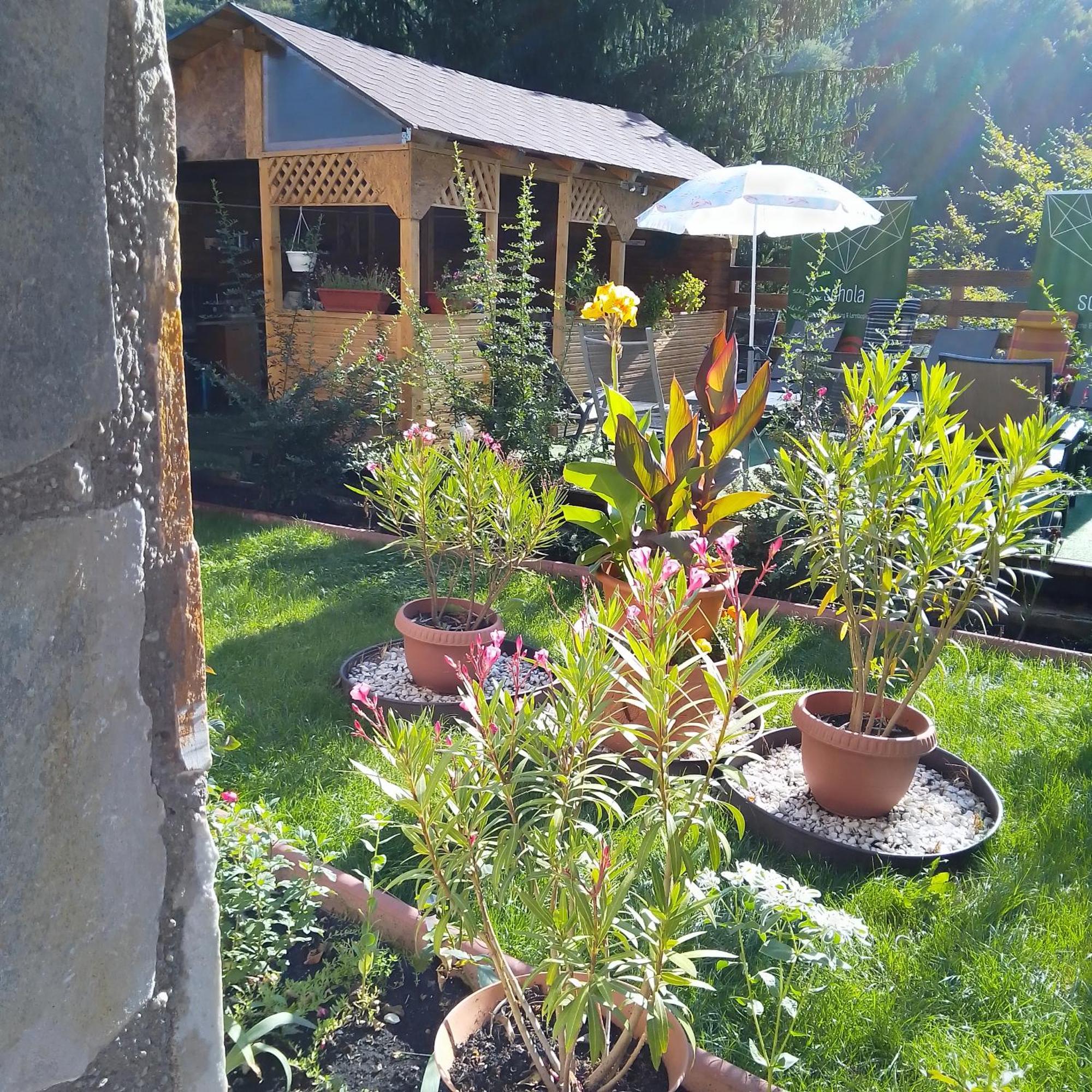 Casa Nicolas Buşteni Екстериор снимка