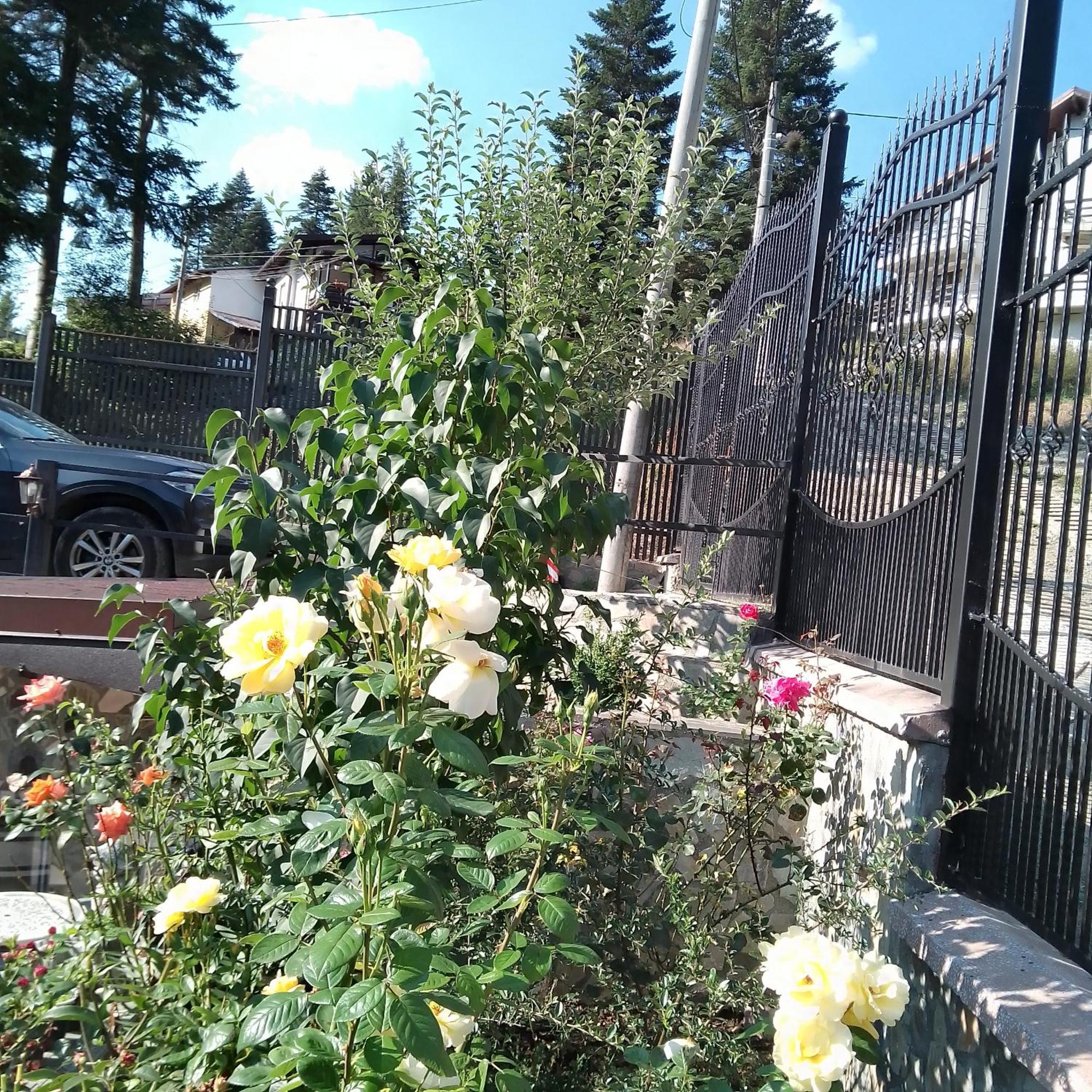 Casa Nicolas Buşteni Екстериор снимка